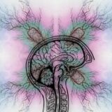 ADHD Utredning