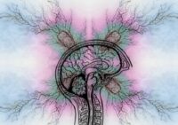 ADHD Utredning